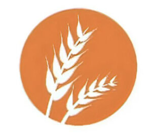Gluten gluten
